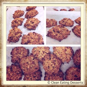 Cacao Nibs & Oat Cookies