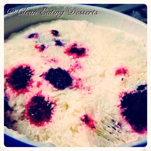 Frozen Berry Yoghurt